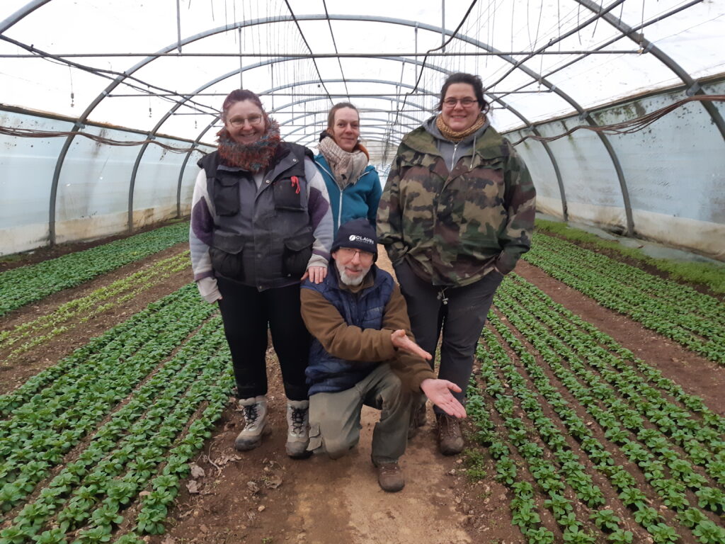 Transmission d’une ferme horticole et maraîchère