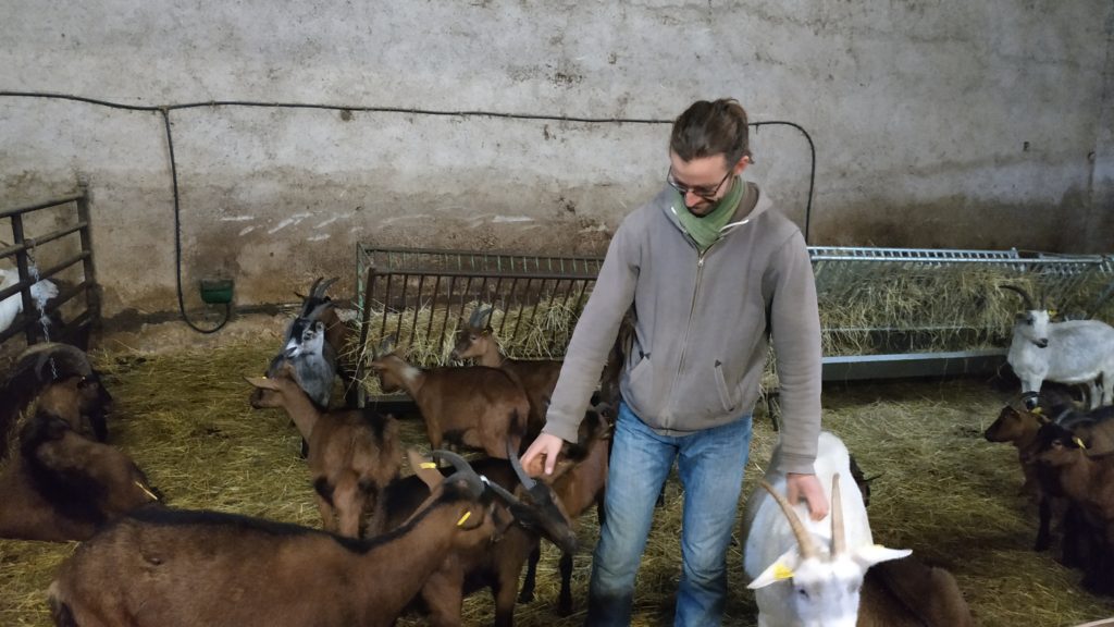 Reprendre une ferme et la diversifier