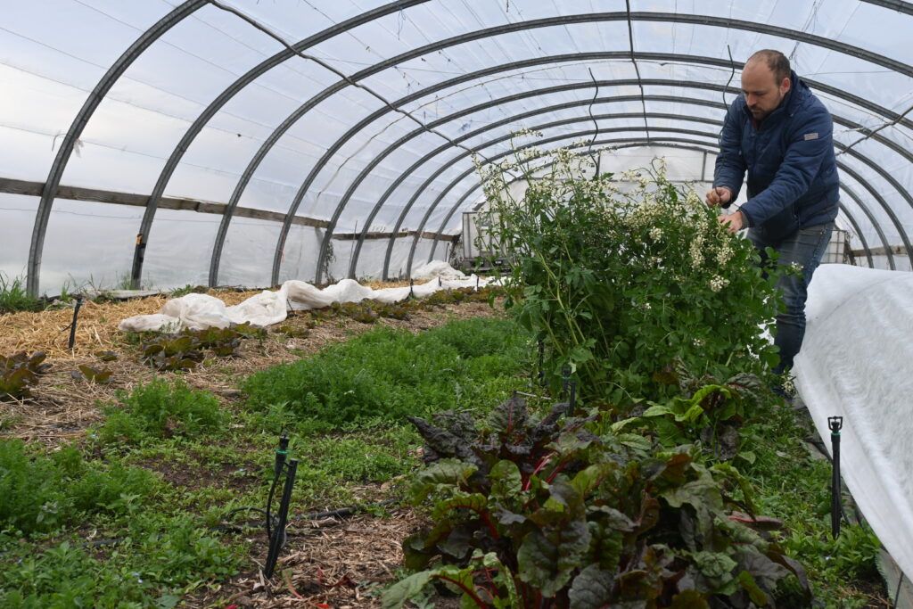 Autonomie et résilience à la racine des Légumes des jours