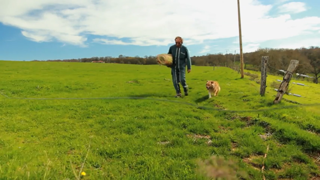 Optimiser la qualité de l’herbe et du foin