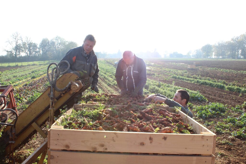 Entre variétés paysannes et légumes de plein champ